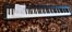   88  casio 