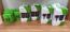    Xbox 360  Xbox ONE 
