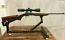    Browning Semi Auto, .22 LR 