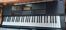  . 3  casio 61    