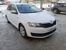 ������ Skoda Rapid  �����